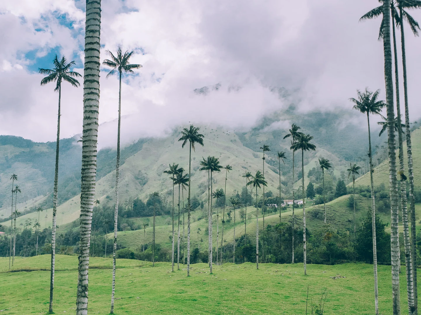 Lettre d'amour à la Colombie