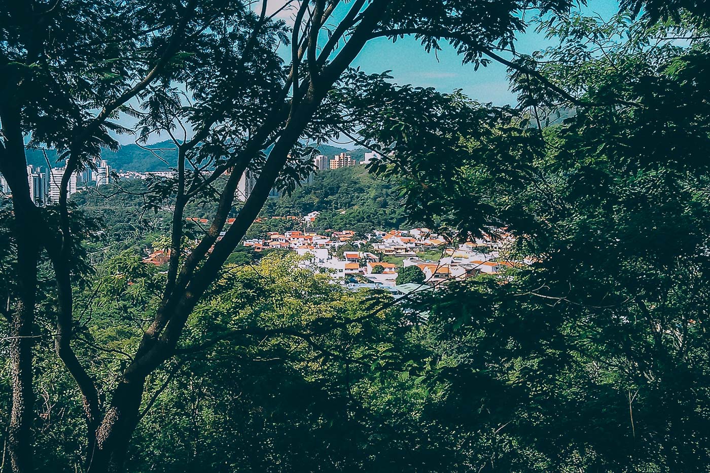 Voyage au Venezuela