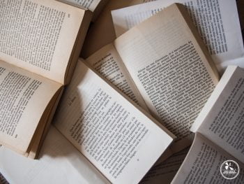 Un livre une destination blog de voyage