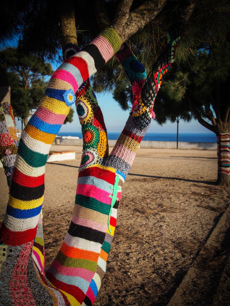 street art yarn bombin laine autour des arbres a sagres en algarve portugal