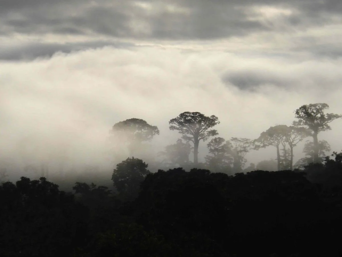 brume sur la colombie