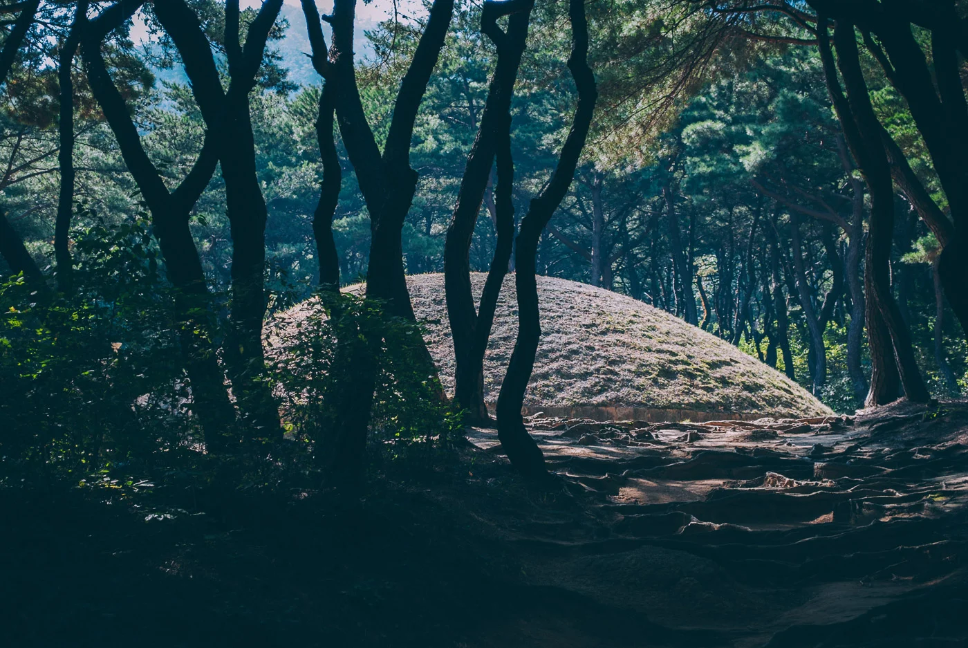 Visiter Gyeongju en Corée du Sud