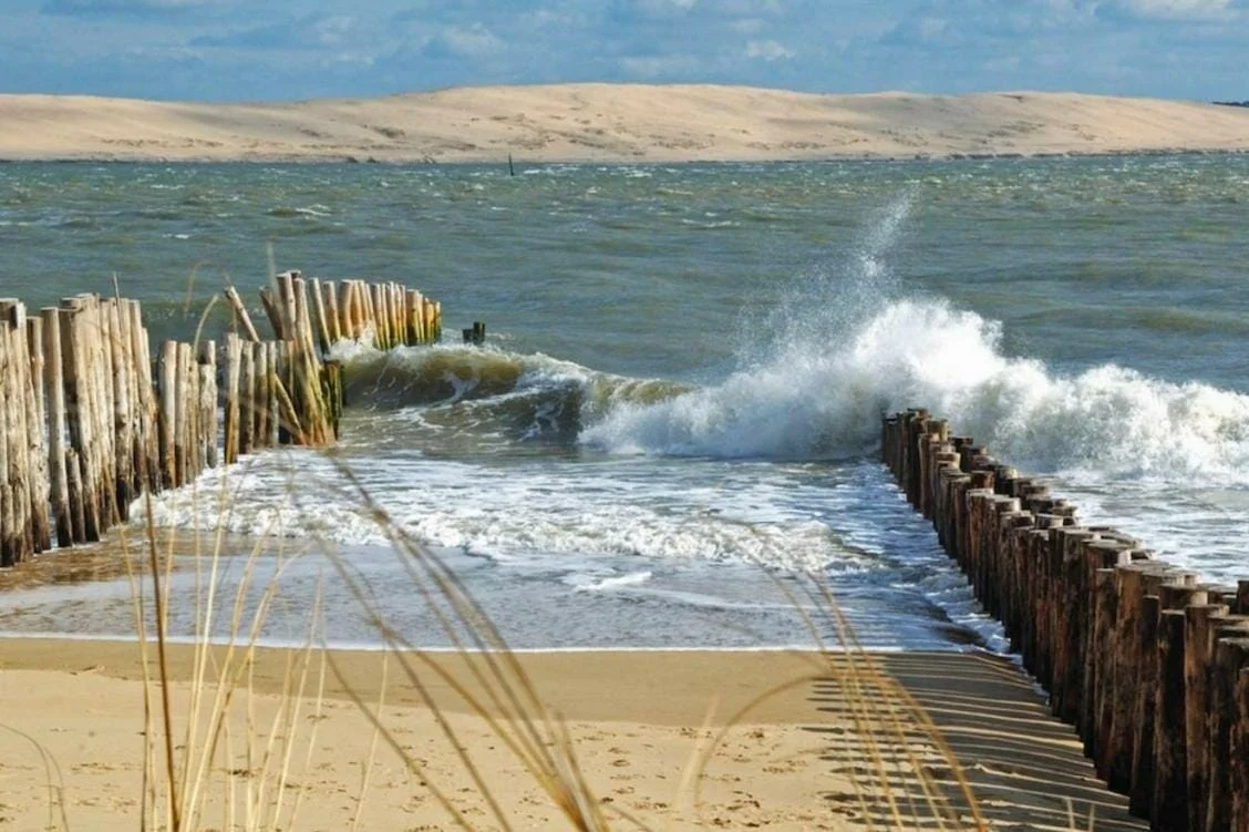 Balade sur le Bassin d’Arcachon