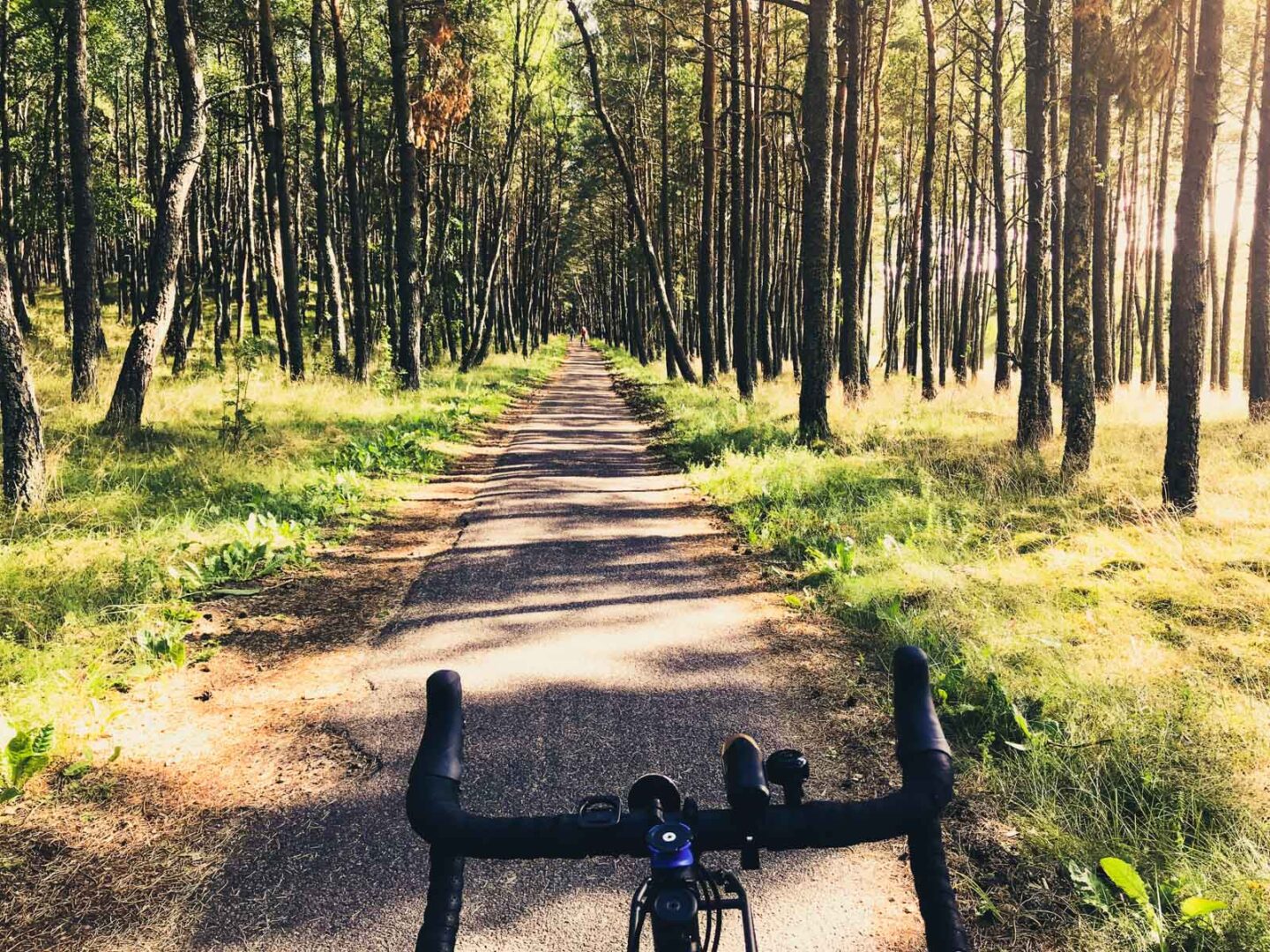Si je faisais enfin cette Vélodyssée, quelle vélo je choisirais ?
